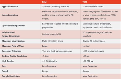 advantages and disadvantages of sem|Comparing SEM & TEM – Understanding the Pros .